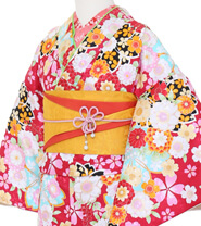 특별 사이즈 플랜