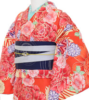 특별 사이즈 플랜