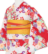 특별 사이즈 플랜