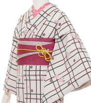 특별 사이즈 플랜